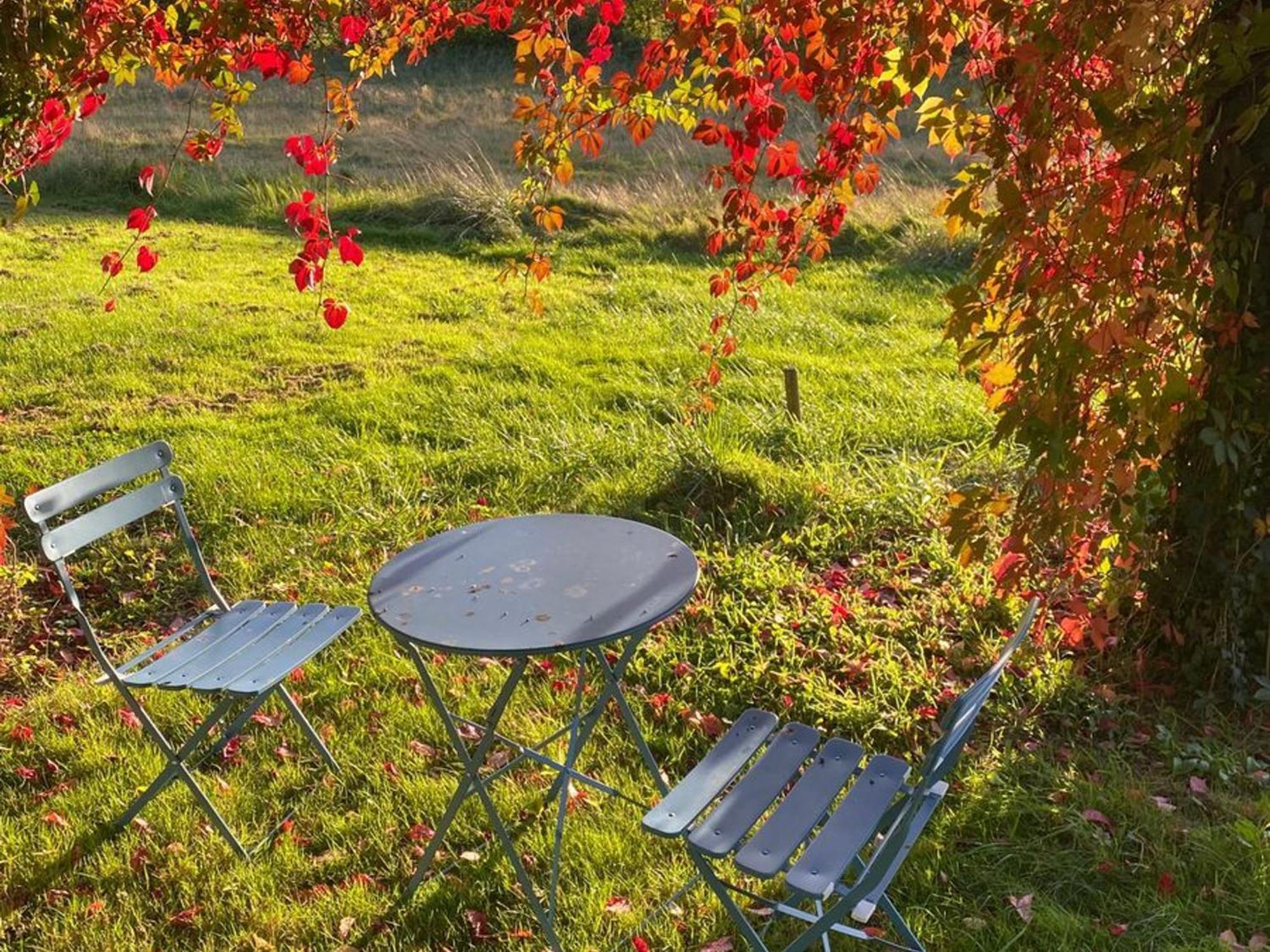 Gite Ecologique Familial En Campagne, Ideal Pour Sports Et Nature - Fr-1-410-452 Villa Moulins-le-Carbonnel Exterior photo